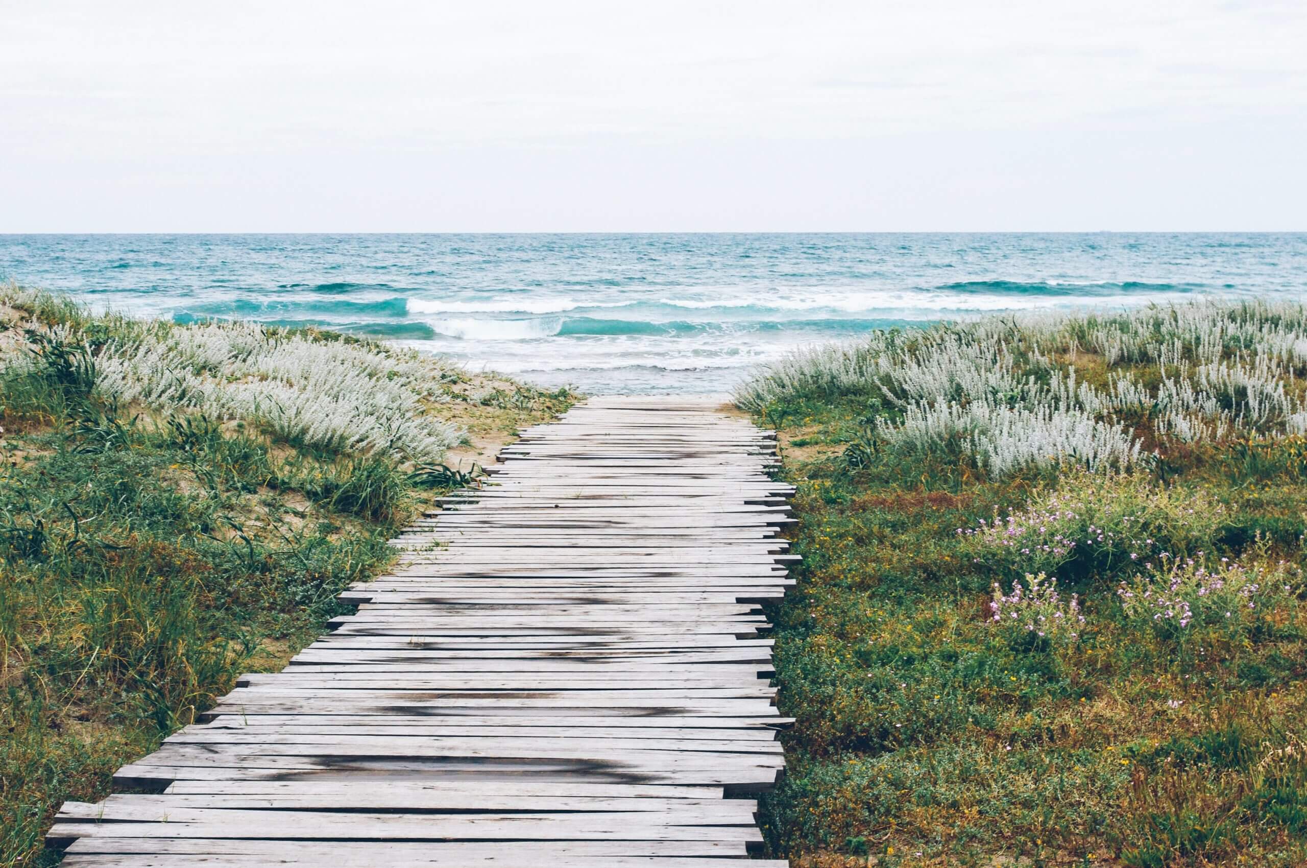 Find Your Path
